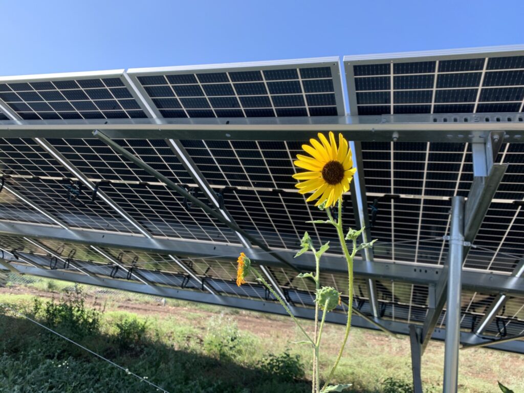 Solar Farm