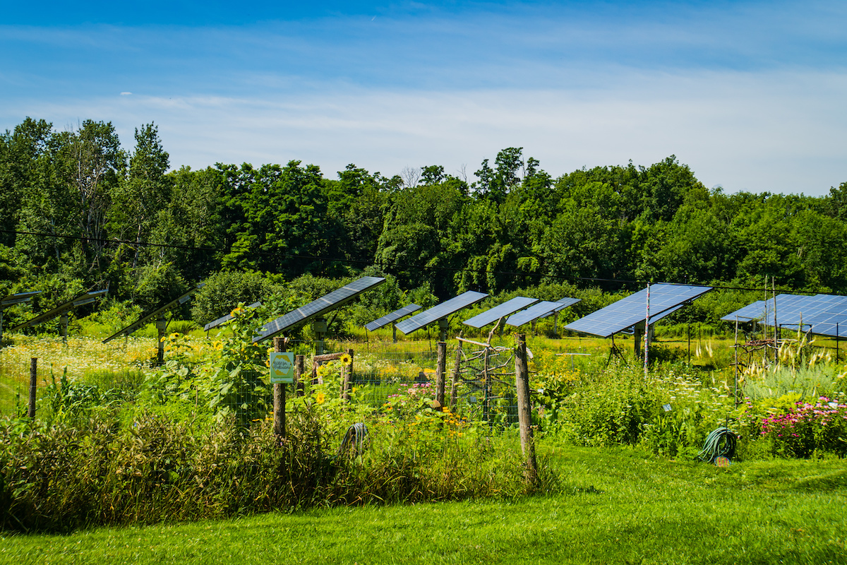 become a solar farmer