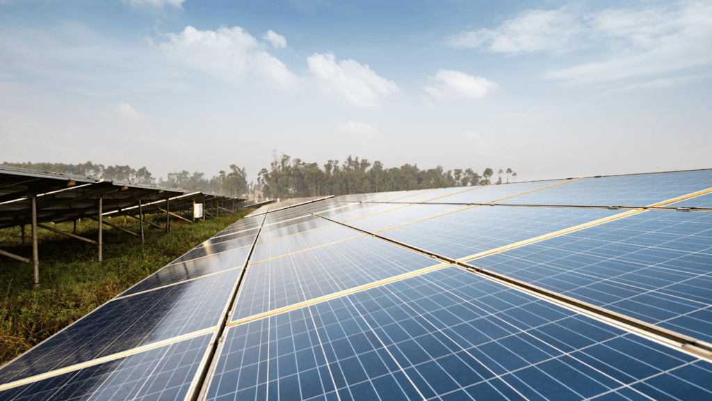 ESA Solar awards community grants to 5 Stafford County organizations