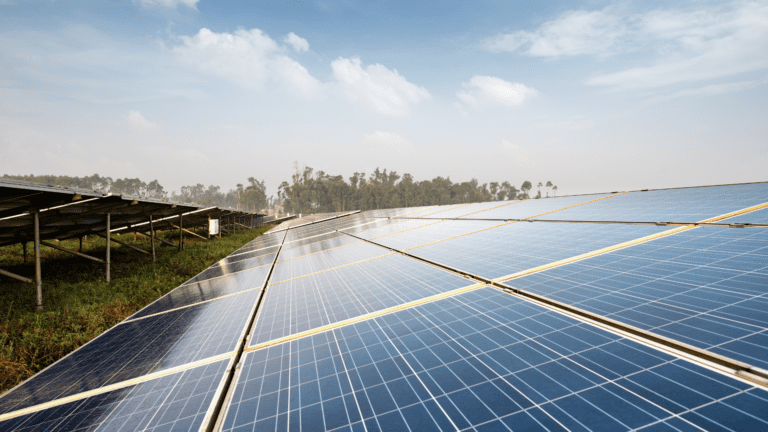 ESA Solar awards community grants to 5 Stafford County organizations